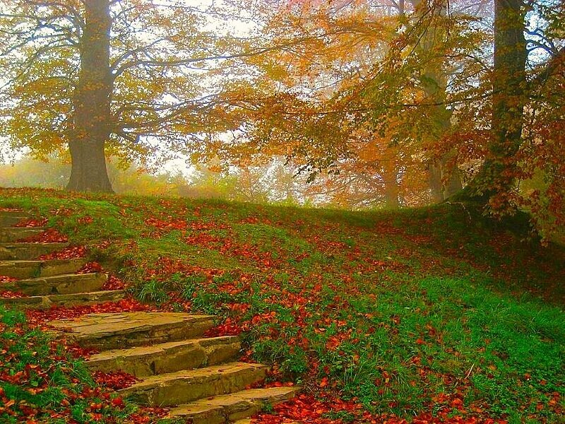Autumn path with stone steps