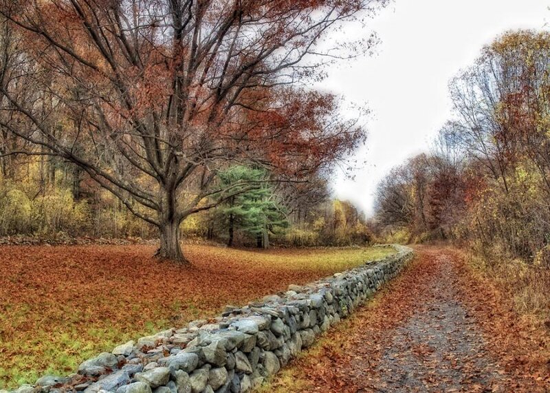 Autumn Path with Stone Wall — Brown