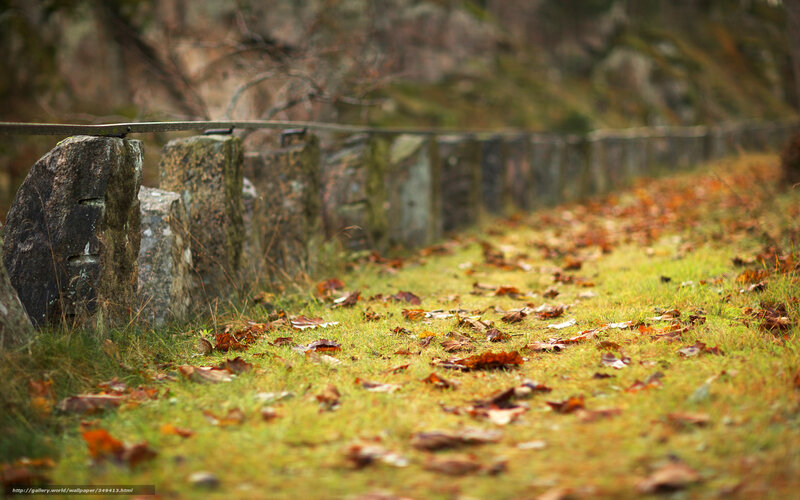 Autumn path with stone wall