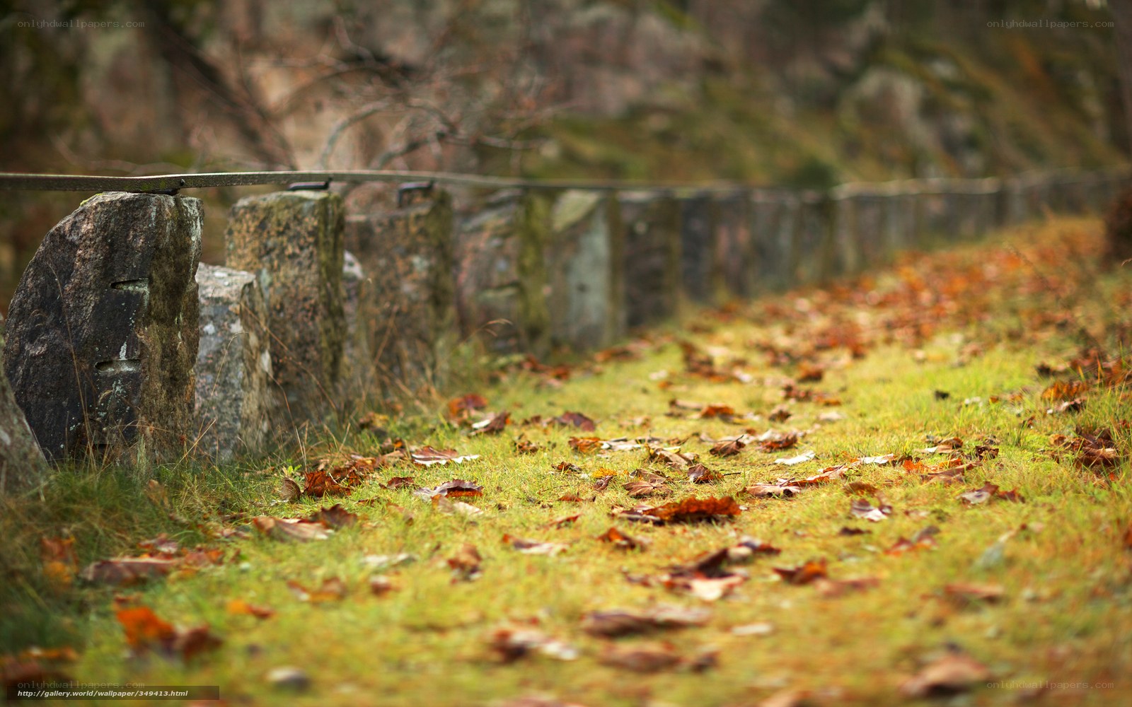 Autumn path with stone wall