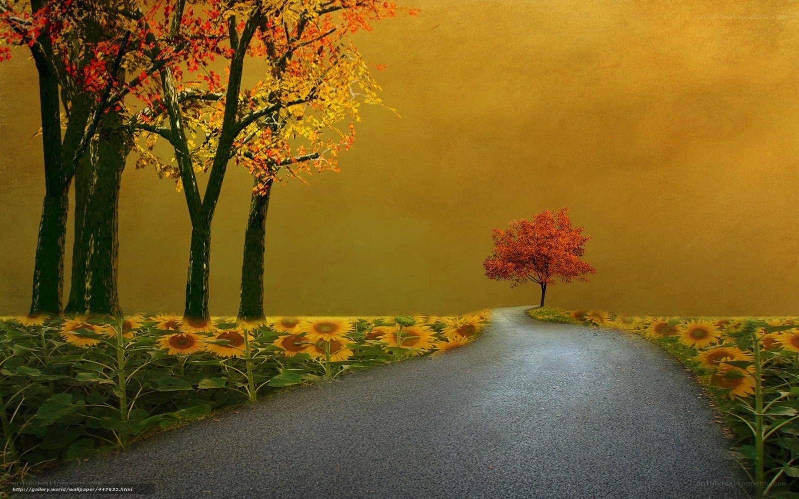 Autumn path with sunflowers