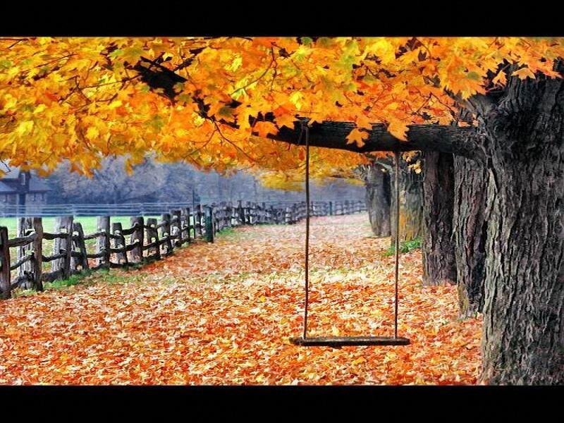 Autumn path with swing
