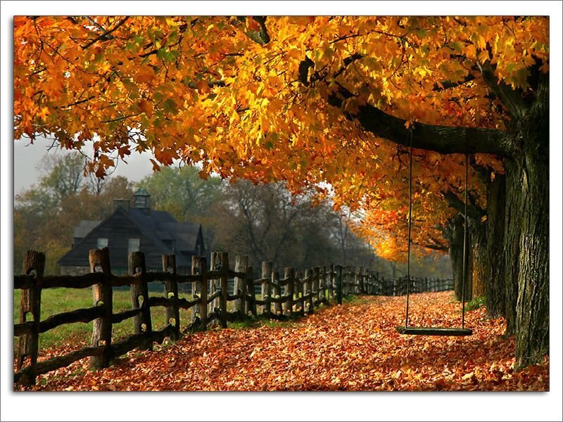Autumn path with swing