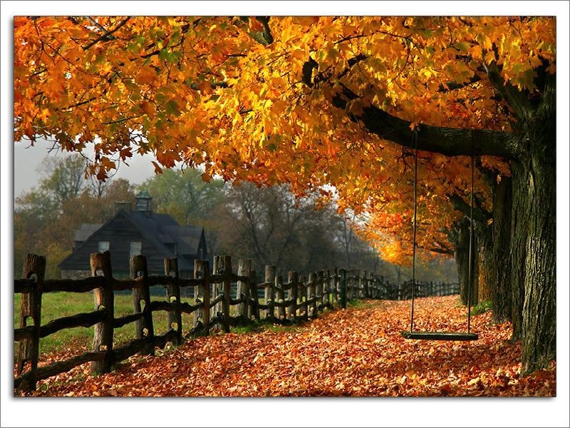 Autumn path with swing
