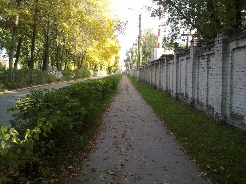 Autumn path with trees and wall