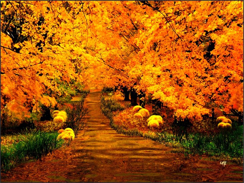 Autumn Path with Trees — Orange, Serene, Digital Art