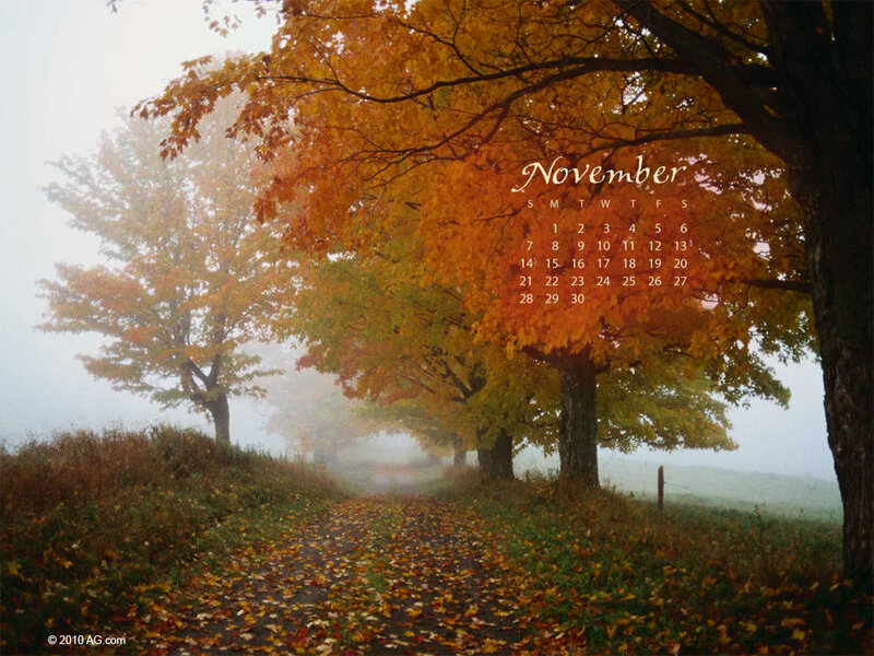 Autumn Path with Trees — Orange