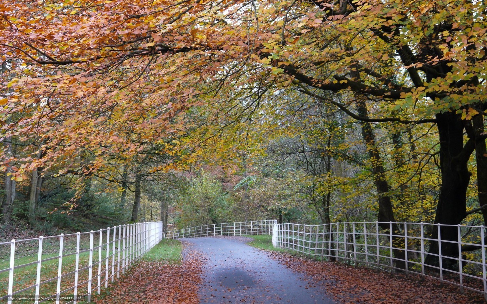 Autumn path with white fence