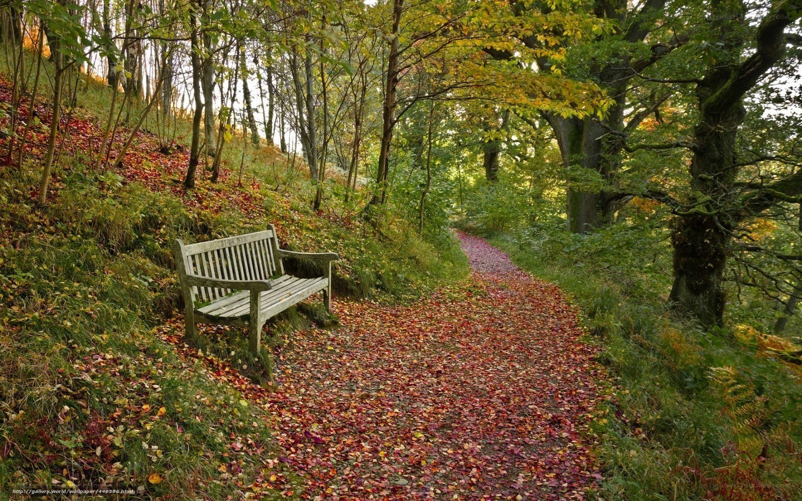 Autumn path with wooden bench