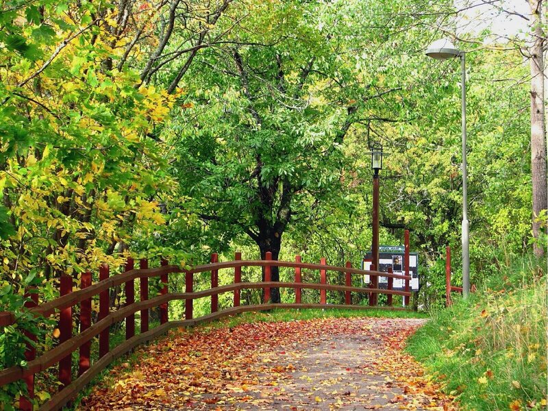 Autumn path with wooden bridge