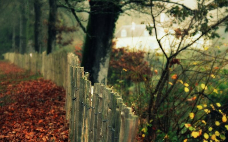 Autumn path with wooden fence