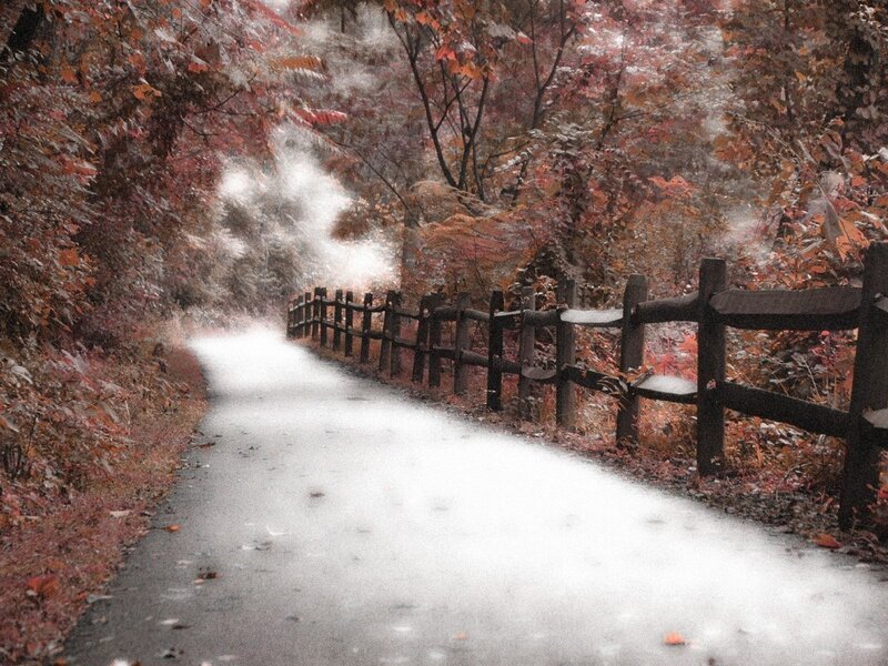 Autumn path with wooden fence