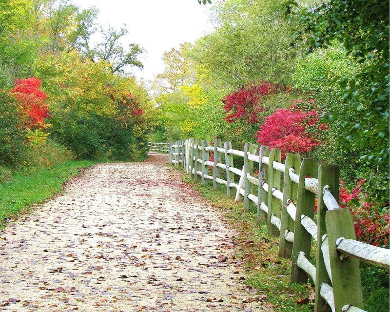 Autumn path with wooden fence