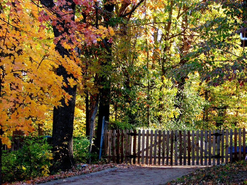 Autumn path with wooden gate