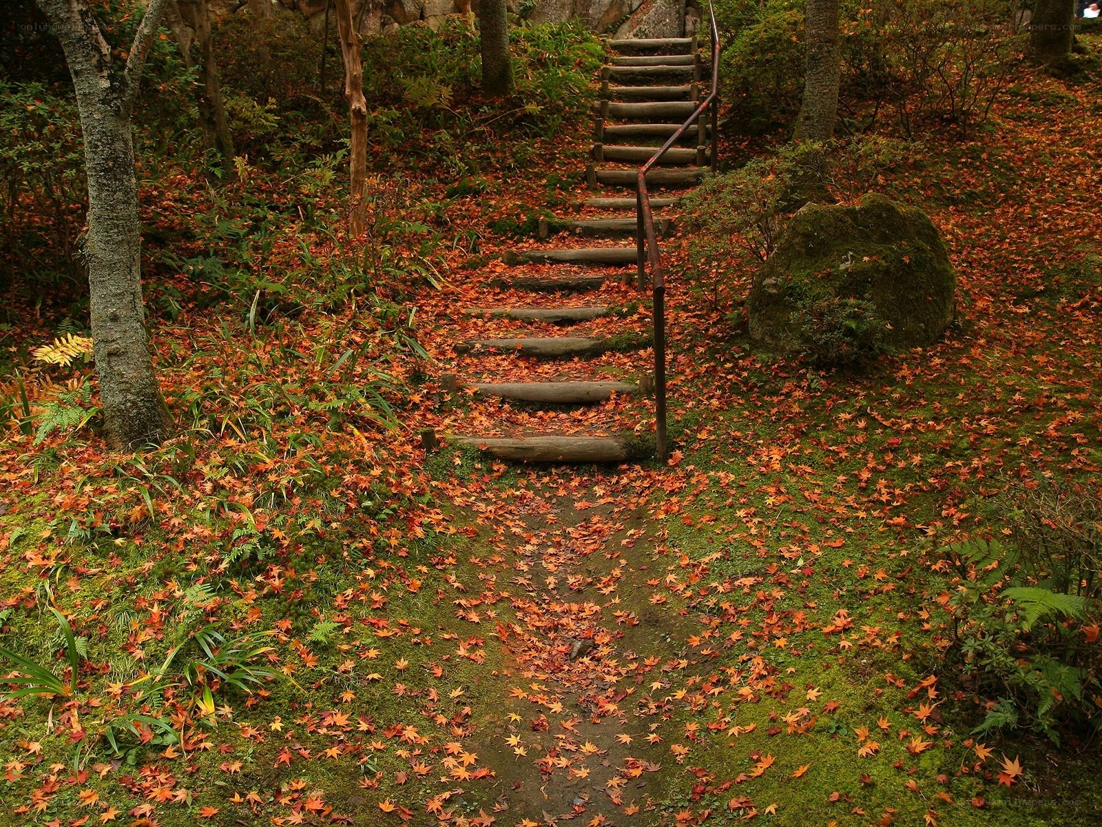 Autumn path with wooden stairs