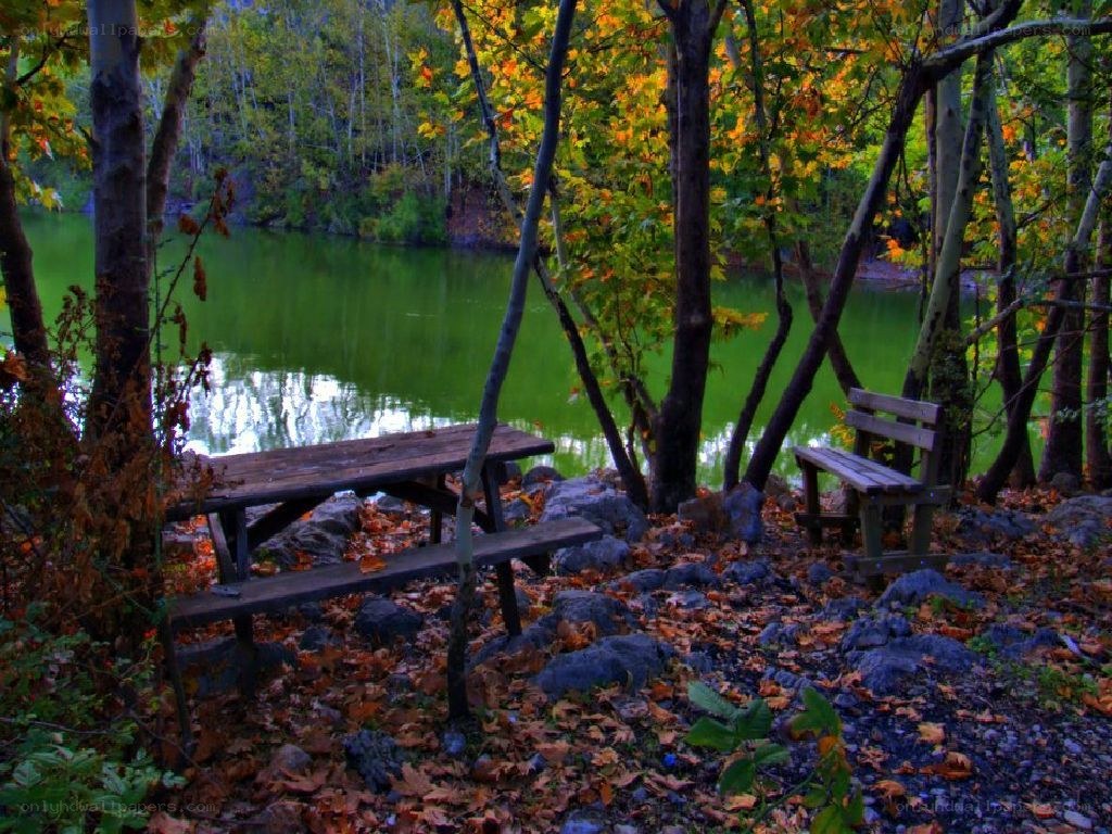 Autumn picnic by the lake