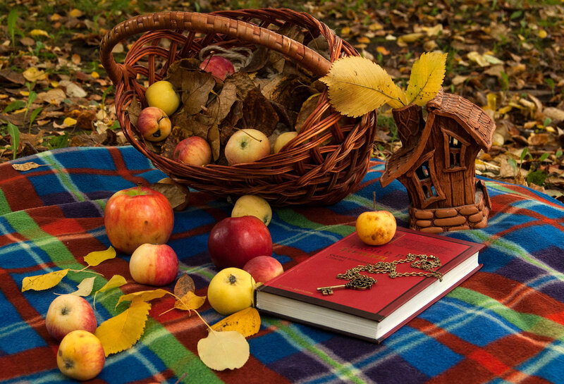 Autumn Picnic Setup