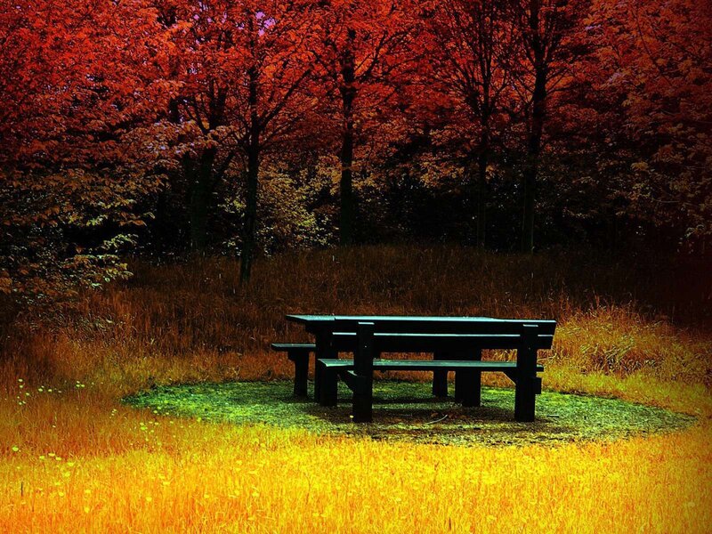 Autumn picnic table