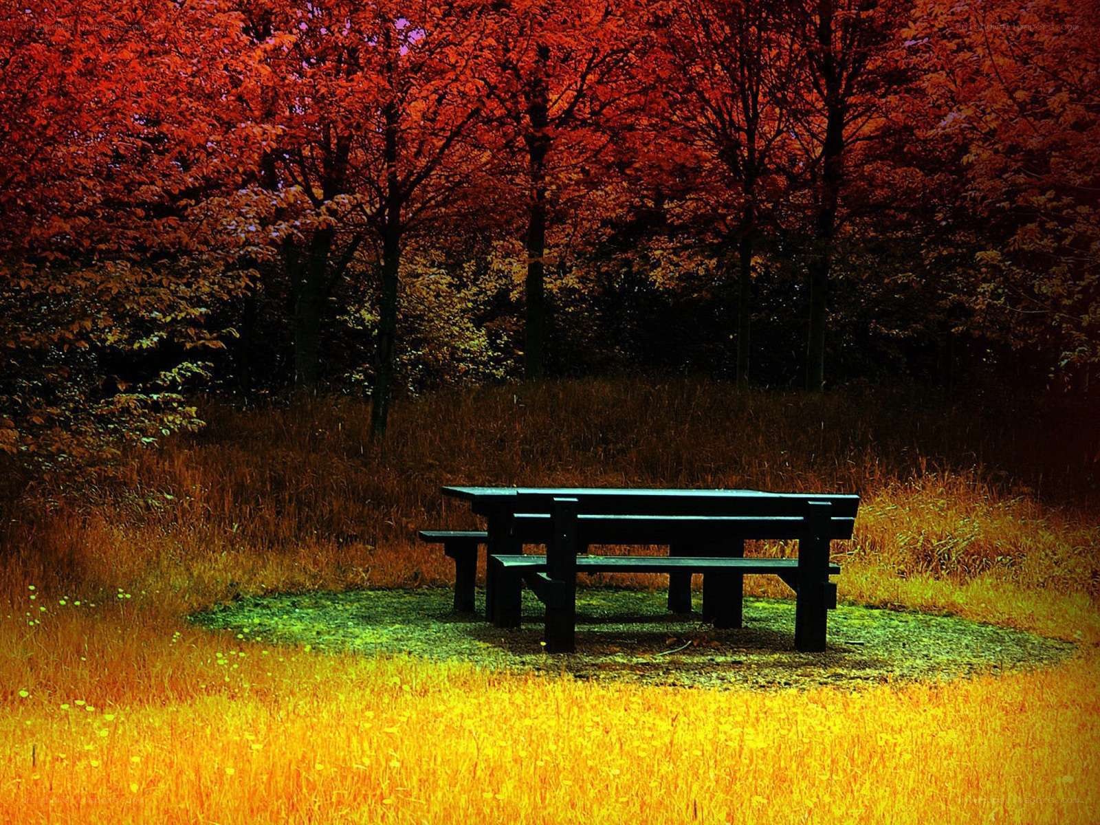 Autumn picnic table