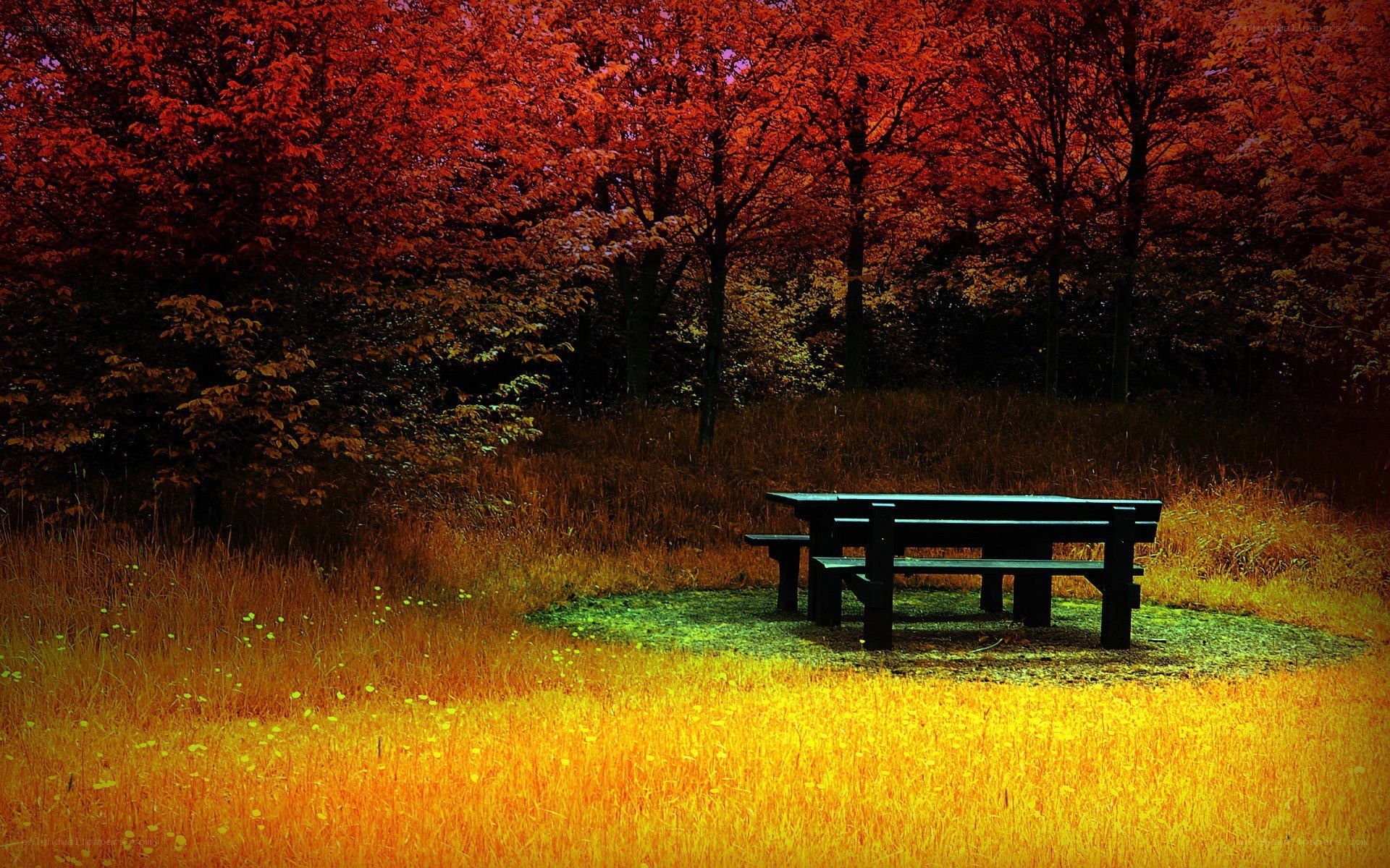 Autumn picnic table in forest