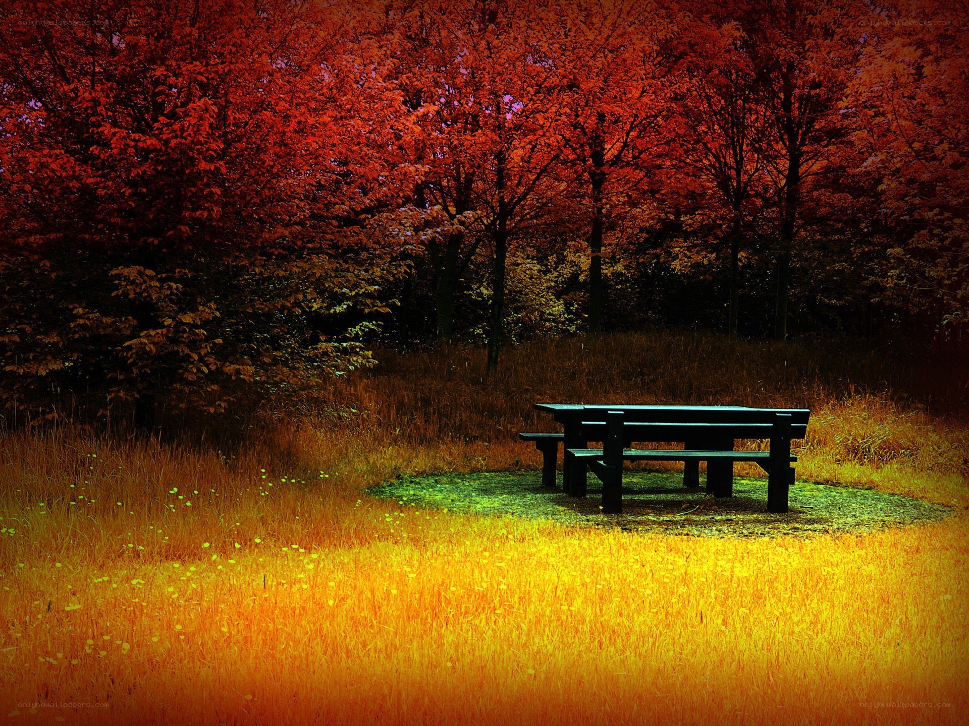 Autumn picnic table