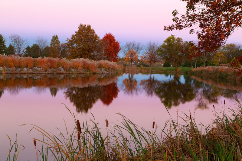 Autumn Pond at Dusk — Pink