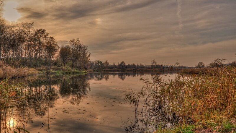 Autumn Pond at Dusk