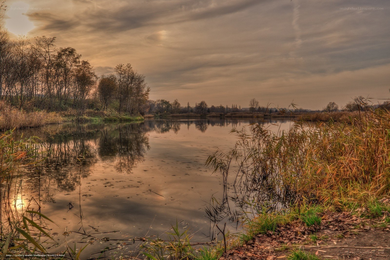 Autumn pond at sunset