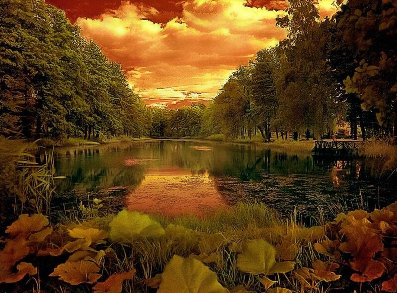 Autumn pond at sunset