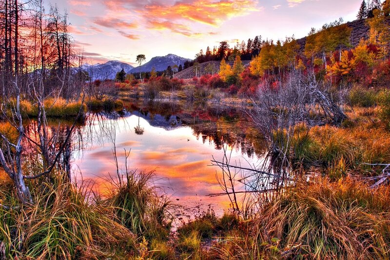Autumn Pond at Sunset — Orange