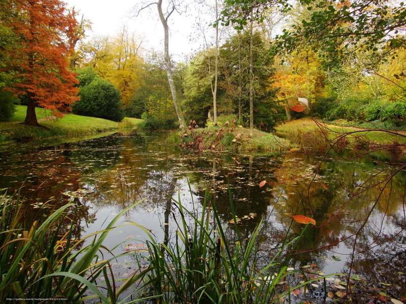 Autumn pond in a park