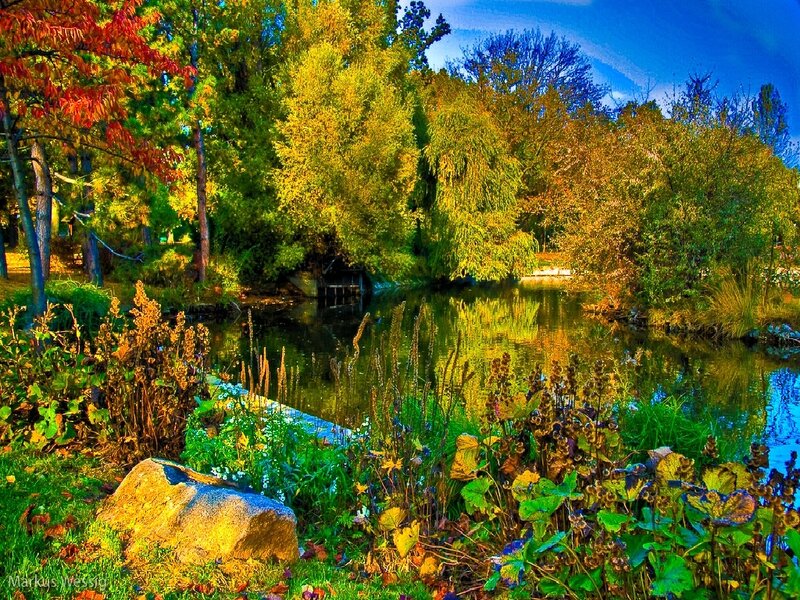 Autumn pond in a park