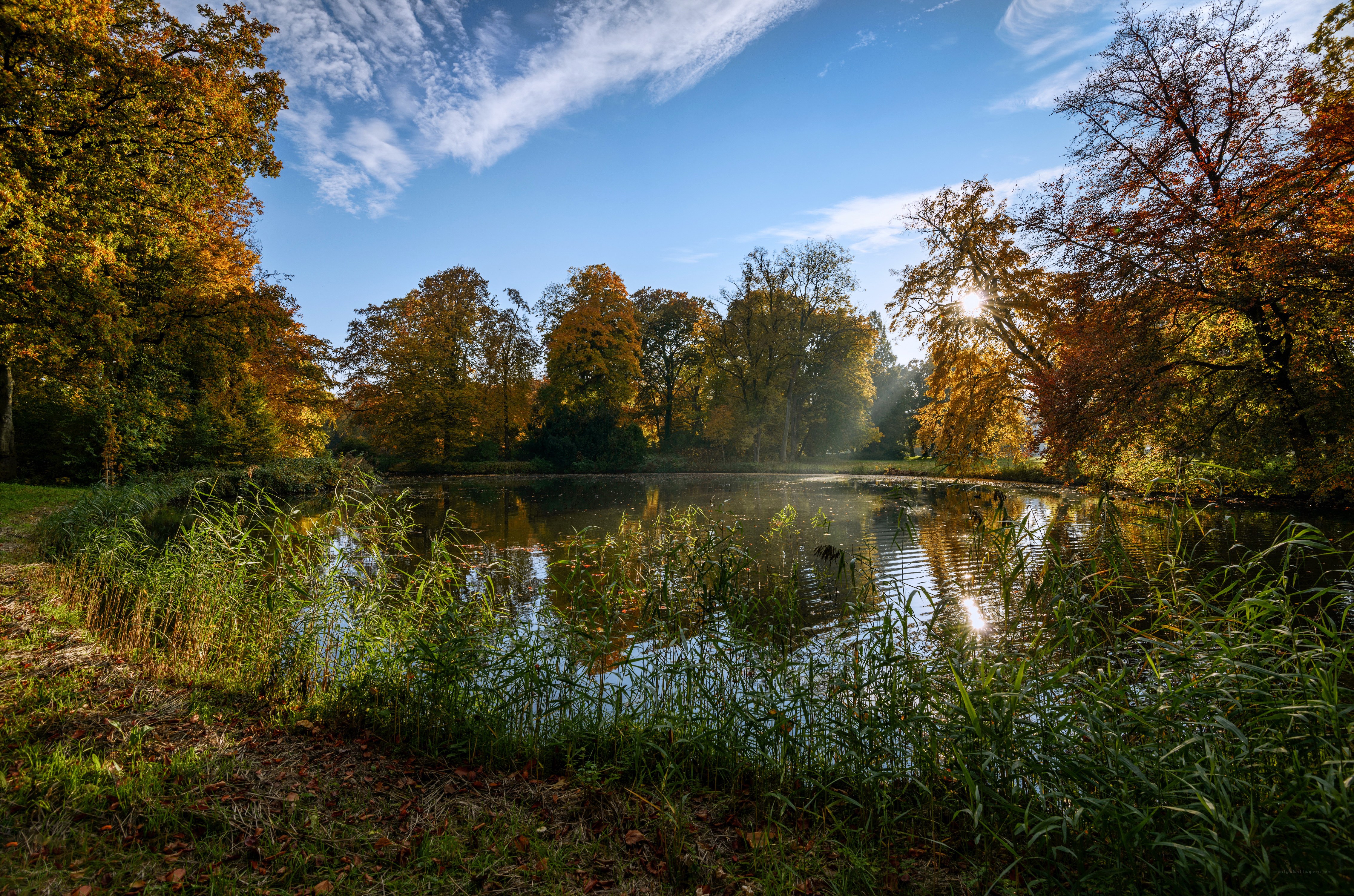 Autumn pond in a park
