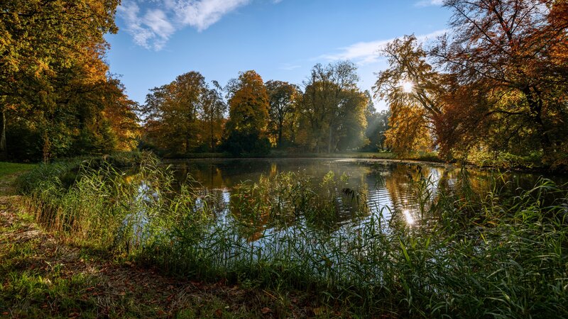 Autumn Pond in Forest — Blue, Serene