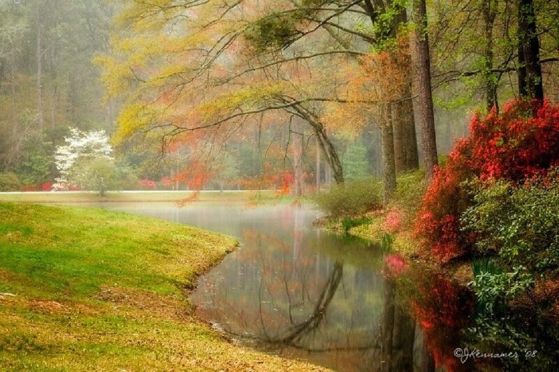 Autumn Pond in Forest — Green