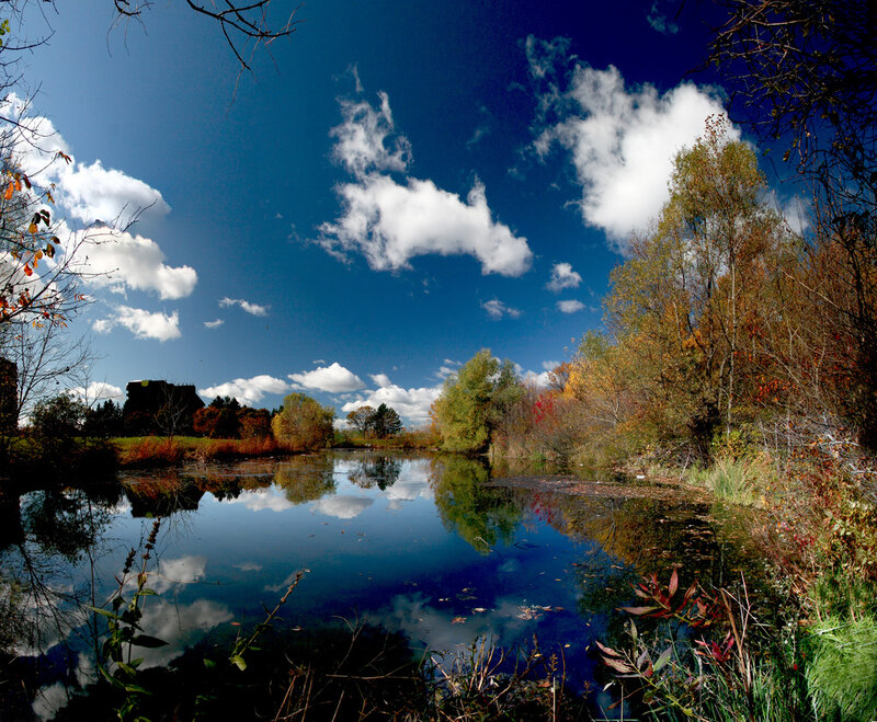Autumn Pond Reflection