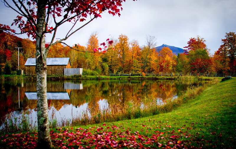 Autumn Pond with Barn
