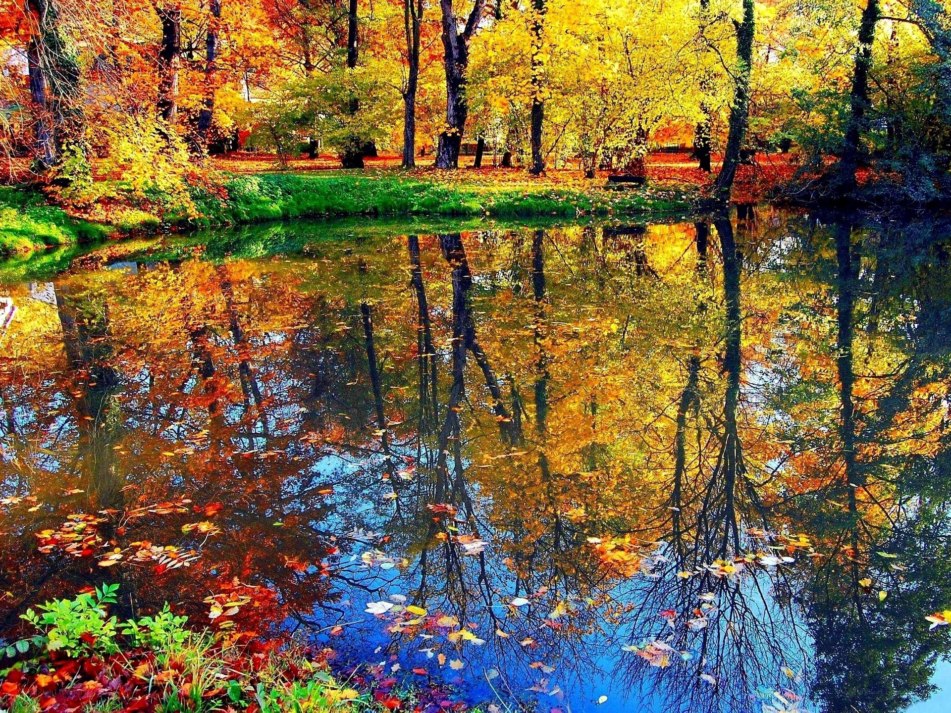 Autumn pond with colorful reflections