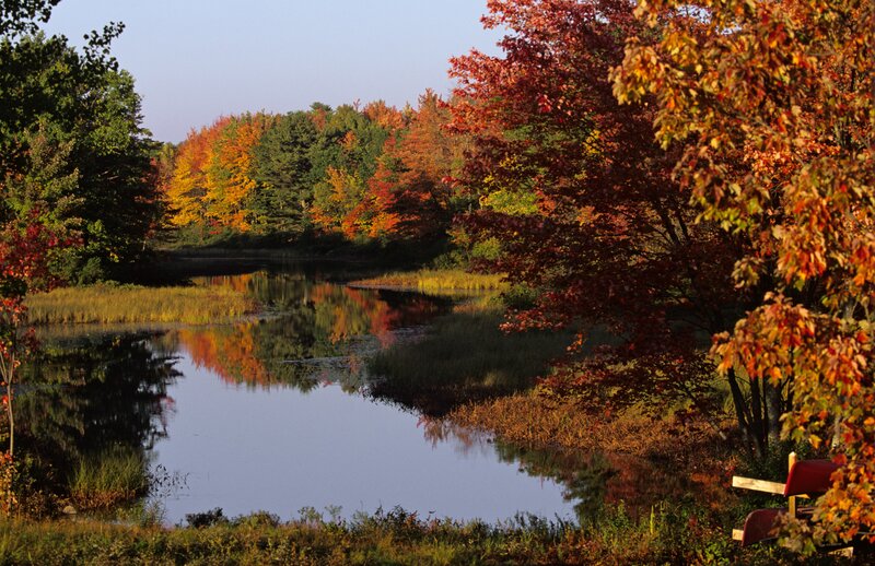 Autumn pond with colorful trees