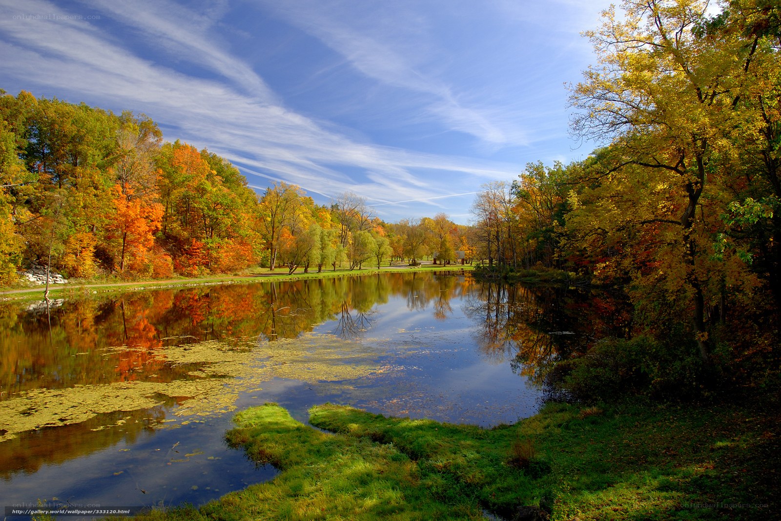 Autumn pond with colorful trees