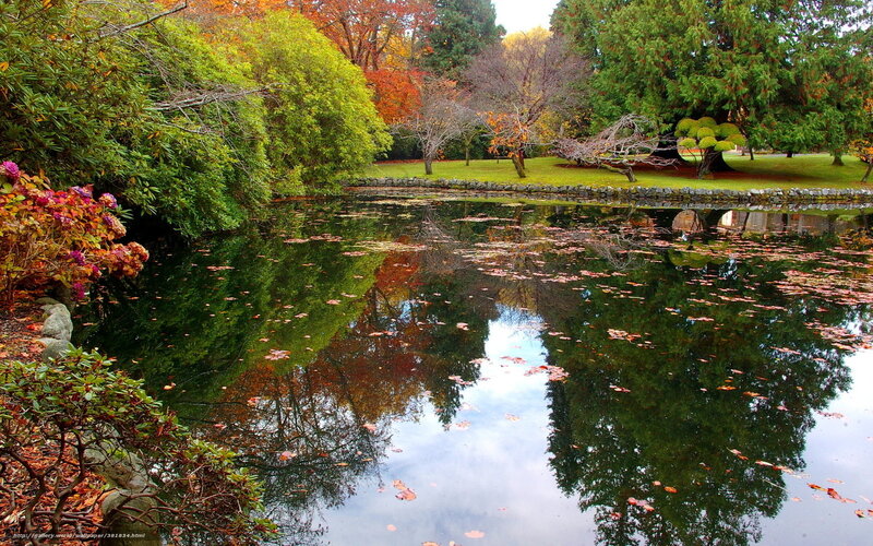 Autumn pond with leaf reflections