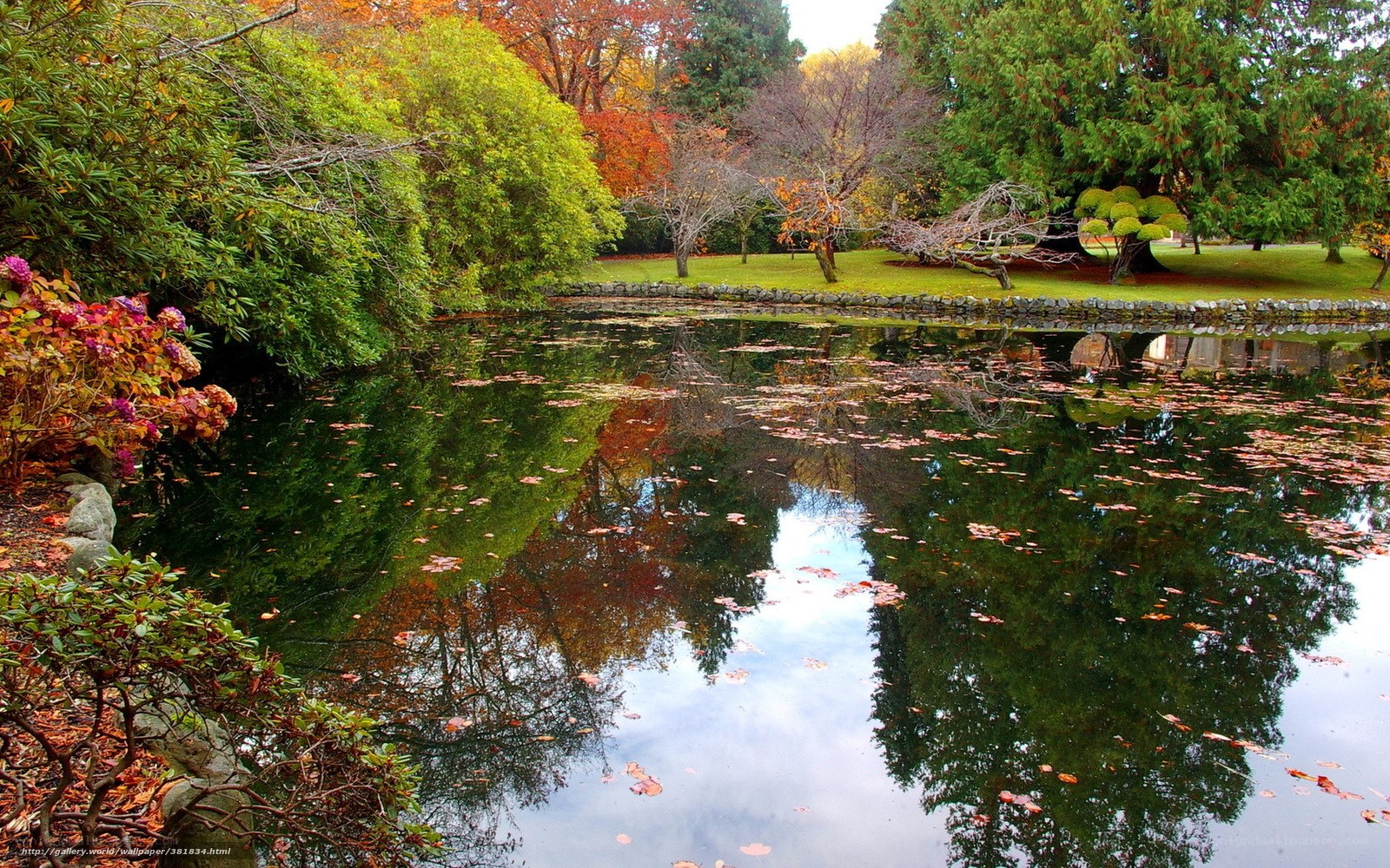 Autumn pond with leaf reflections