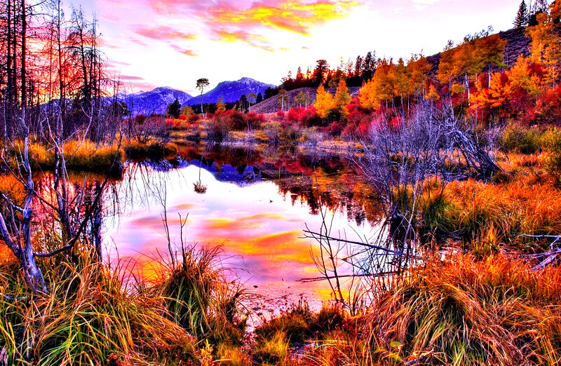 Autumn Pond with Mountains