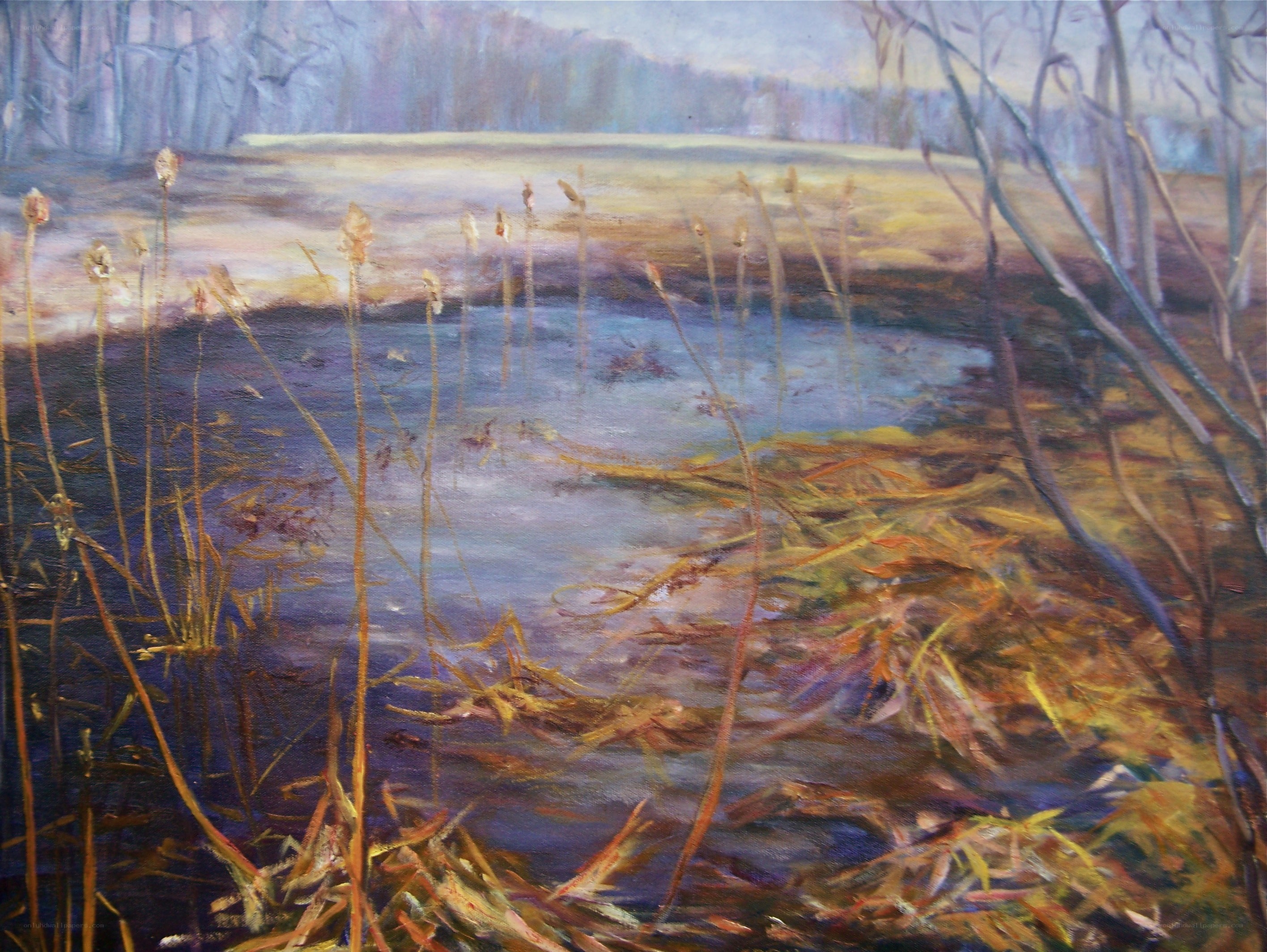 Autumn pond with reeds