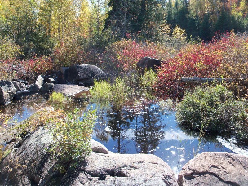 Autumn Pond with Rocks