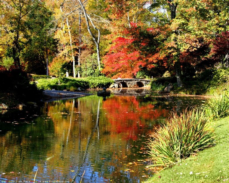 Autumn Pond with Stone Bridge