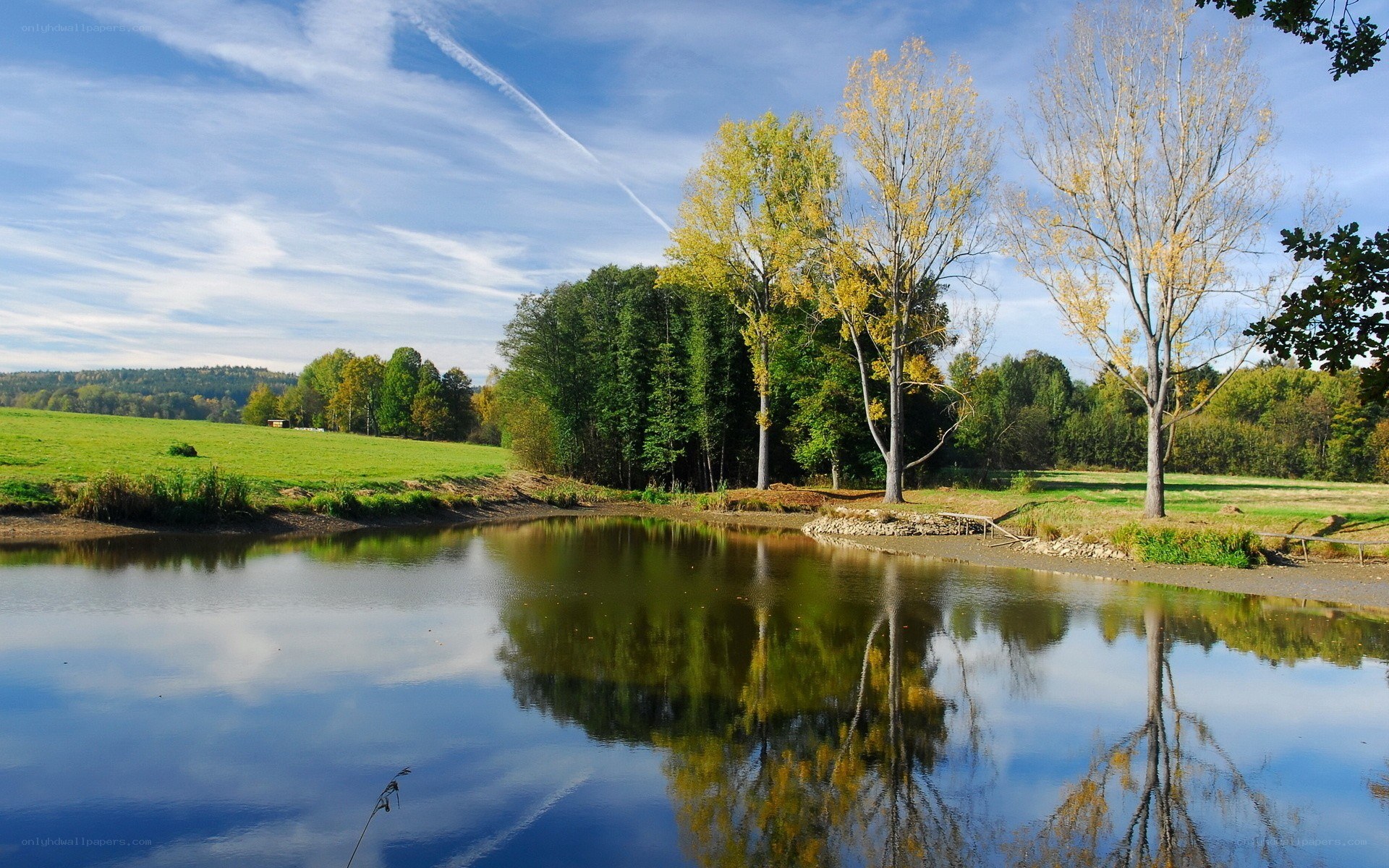 Autumn pond with tree reflections