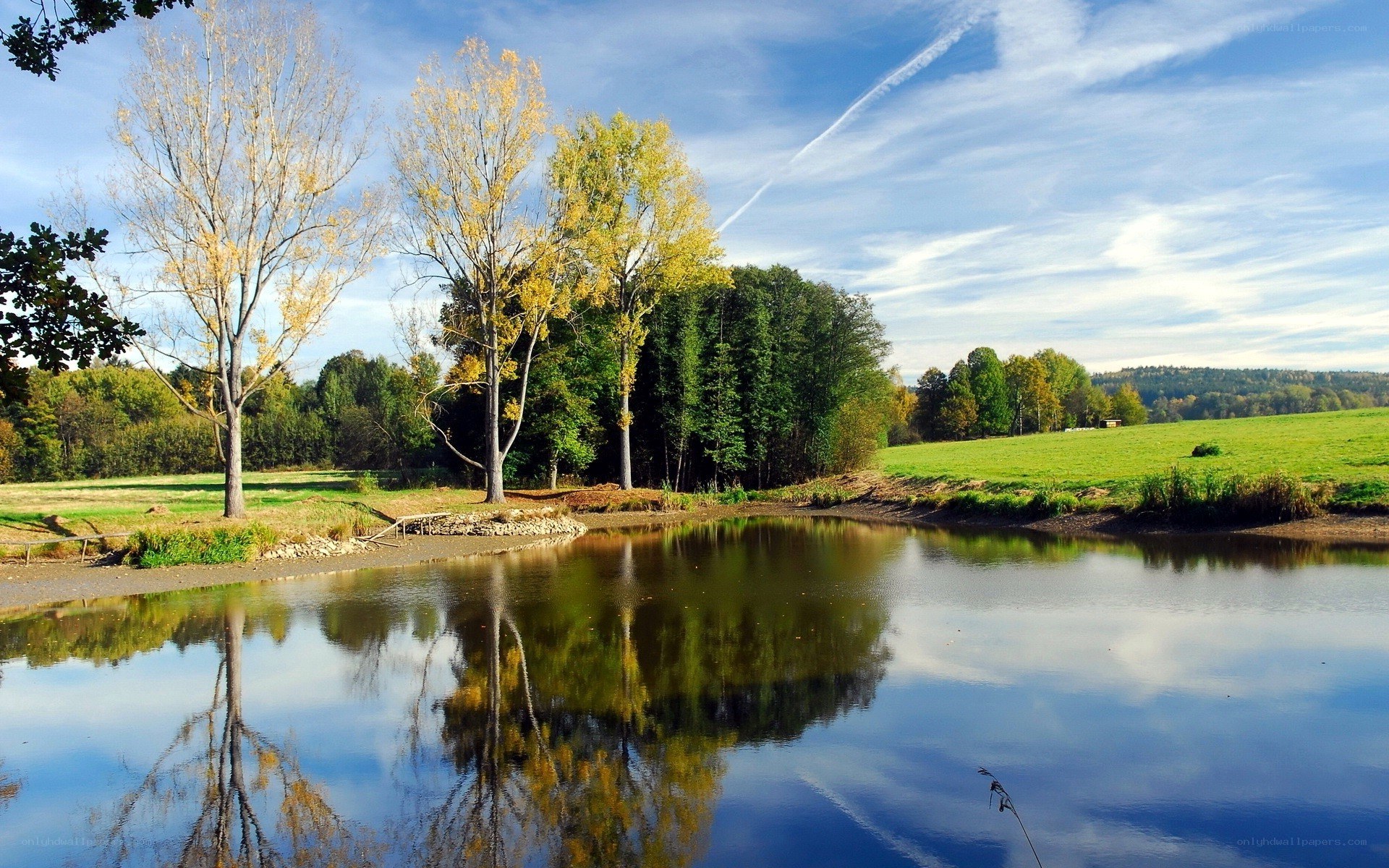 Autumn pond with tree reflections