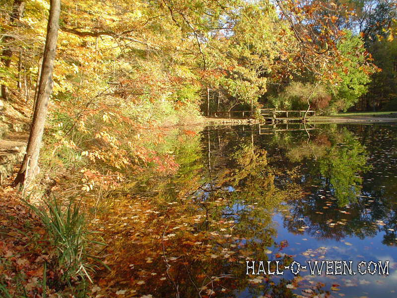 Autumn pond with tree reflections