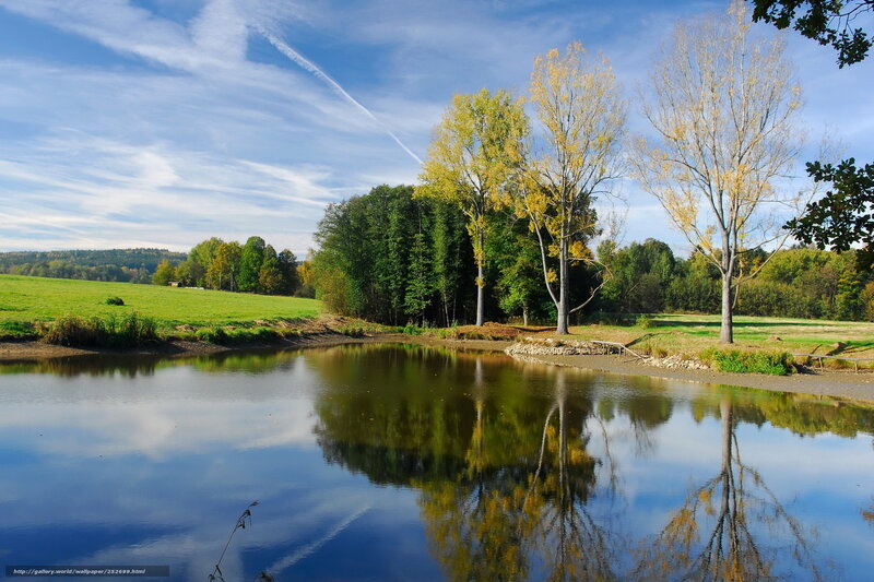 Autumn pond with tree reflections